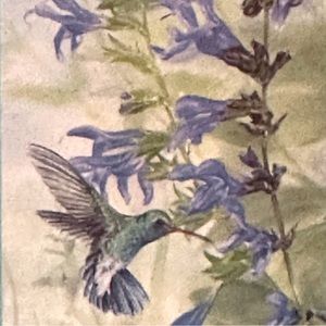Rain or Shine “Hummingbird” Art Garden Flag~12.5”x18~NEW!